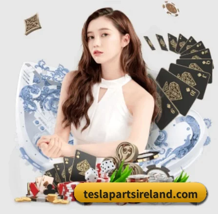 公司成立